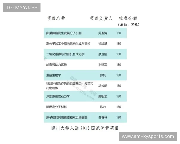琑队如何完善青训师资的培养体系，青年教师队伍培养